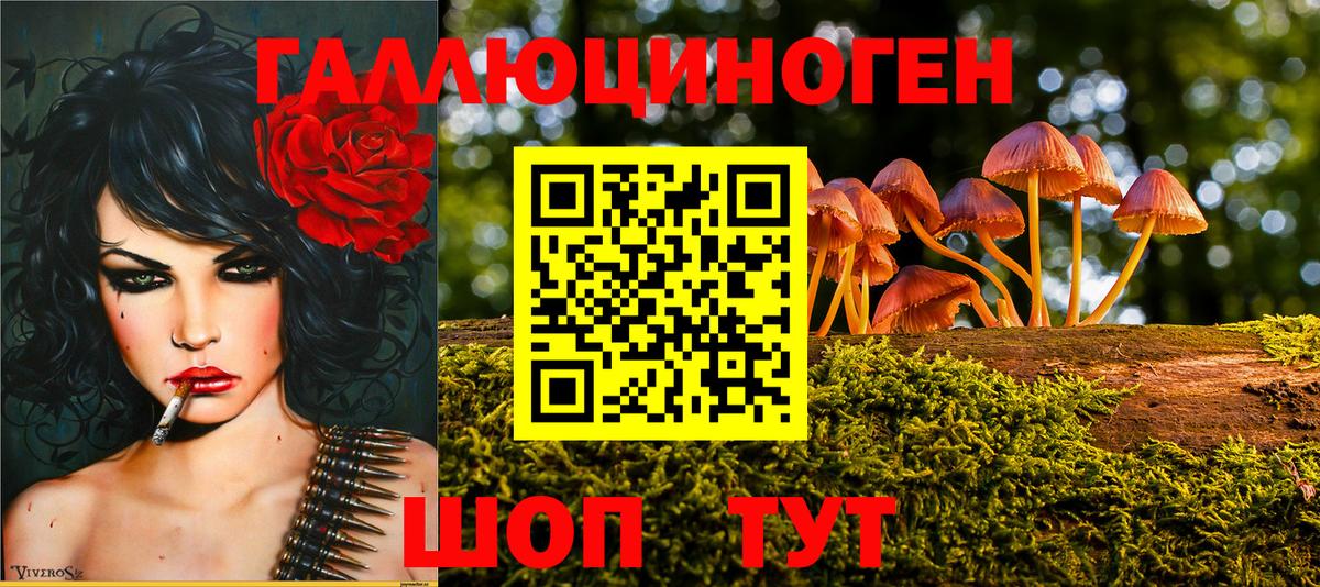Псилоцибиновые грибы GOLDEN TEACHER Павлово