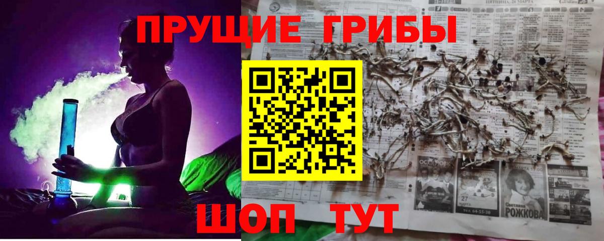 Галлюциногенные грибы Cubensis  Вход с VPN  Павлово 