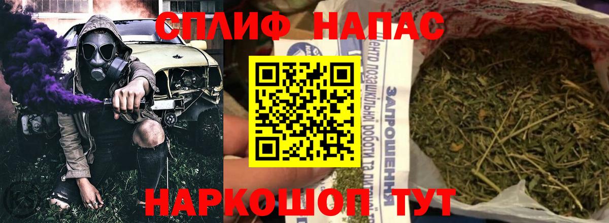 Бошки Шишки план Павлово